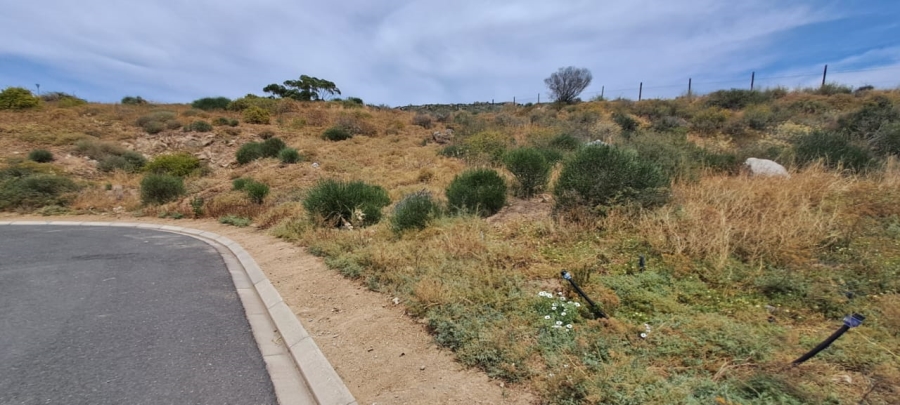 0 Bedroom Property for Sale in St Helena Views Western Cape